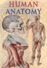 Human Anatomy 