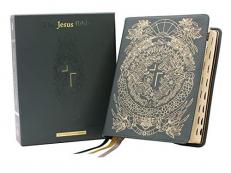 The Jesus Bible Artist Edition NIV Limited Edition, Thumb Indexed, Comfort Print [Green] 