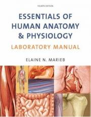 Essentials of Human Anatomy and Physiology Laboratory Manual 4th