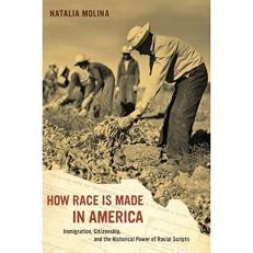 How Race Is Made in America : Immigration, Citizenship, and the Historical Power of Racial Scripts 
