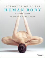 Introduction to the Human Body 