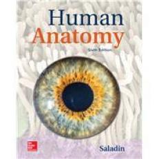 Human Anatomy 6th