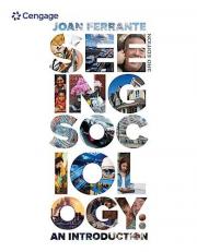 Seeing Sociology : An Introduction 3rd