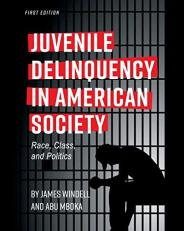Juvenile Delinquency in American Society : Race, Class, and Politics 