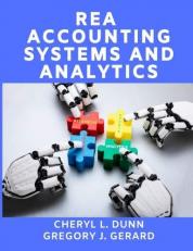 REA Accounting Systems and Analytics 