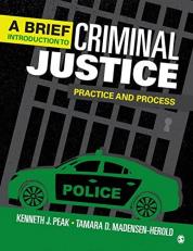 A Brief Introduction to Criminal Justice : Practice and Process 