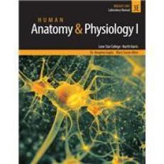 Human Anatomy & Physiology I 3rd