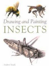 Drawing and Painting Insects 