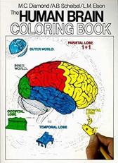 The Human Brain Coloring Book : A Coloring Book 