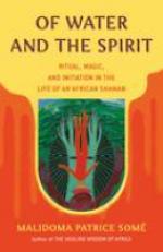 Of Water and the Spirit : Ritual, Magic, and Initiation in the Life of an African Shaman 