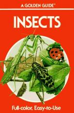 Insects 