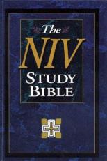 NIV Study Bible : Personal-Size 10th