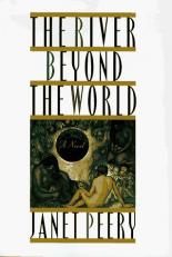 The River Beyond the World : A Novel 