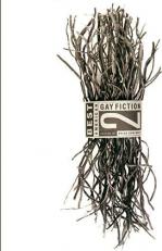 Best American Gay Fiction #2