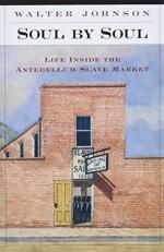 Soul by Soul : Life Inside the Antebellum Slave Market 