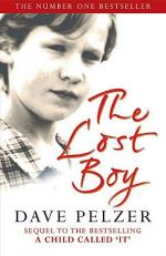 The Lost Boy - A Foster Child's Search For The Love Of A Family 2nd
