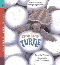 One Tiny Turtle : Read and Wonder
