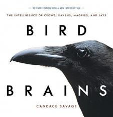 Bird Brains : The Intelligence of Crows, Ravens, Magpies, and Jays 