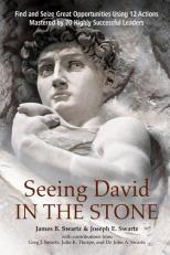 Seeing David in the Stone : Find and Seize Great Opportunities Using 12 Actions Mastered by 70 Highly Successful Leaders
