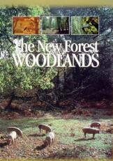 The New Forest Woodlands 