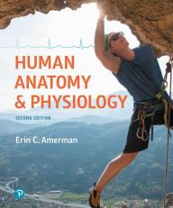 Human Anatomy & Physiology 2nd