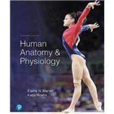 Human Anatomy & Physiology 11th