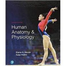 Human Anatomy & Physiology 
