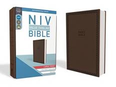 NIV Value Thinline Bible [Large Print, Brown] 