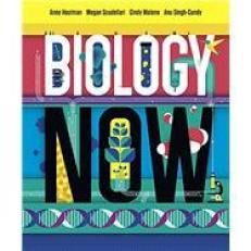 Biology Now - eBook, Inquizitive... Access 3rd