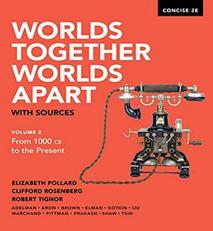 Worlds Together, Worlds Apart Concise Volume 2, 2nd Edition + Reg Card