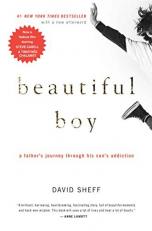 Beautiful Boy : A Father's Journey Through His Son's Addiction 