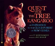The Quest for the Tree Kangaroo : An Expedition to the Cloud Forest of New Guinea 