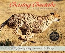 Chasing Cheetahs : The Race to Save Africa's Fastest Cat 