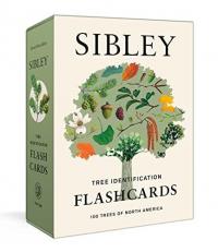 Sibley Tree Identification Flashcards : 100 Trees of North America 