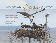 Inside an Osprey's Nest : A Photographic Journey Through Nesting Season 