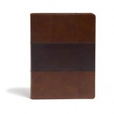 KJV Study Bible, Full-Color, Saddle Brown LeatherTouch, Indexed 