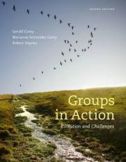 Groups in Action : Evolution and Challenges (with Workbook and DVD) 2nd