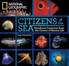 Citizens of the Sea : Wondrous Creatures from the Census of Marine Life 