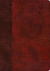 ESV Study Bible (TruTone, Burgundy/Red, Timeless Design, Indexed) 