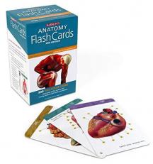Anatomy Flash Cards 3rd