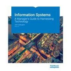 Information Systems: A Manager's Guide To Harnessing Technology V9.0 9th