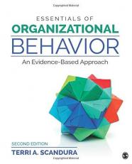 Essentials of Organizational Behavior : An Evidence-Based Approach 2nd