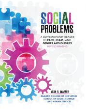 Social Problems: A Supplementary Reader to Race, Class, and Gender Anthologies 
