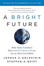 A Bright Future : How Some Countries Have Solved Climate Change and the Rest Can Follow 