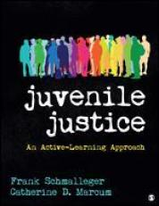 Juvenile Justice: An Active-Learning Approach 20th