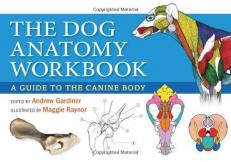 Dog Anatomy Workbook : A Guide to the Canine Body 