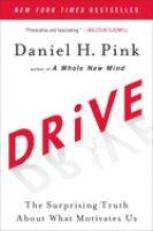Drive : The Surprising Truth about What Motivates Us 