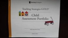 Teaching Strategies GOLD Child Assessment Portfolio, pkg of 25
