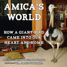 Amica's World : How a Wild Bird Taught Our Family to Be Better People 