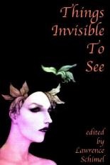 Things Invisible to See : Gay and Lesbian Tales of Magic Realism 